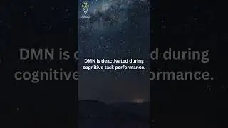 Default Mode Network I Scholarly
