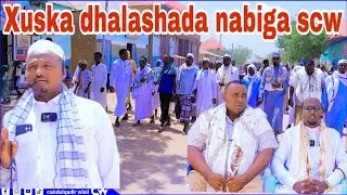 Degmada Wisil ayaa waxaa lagu qabtay munaasabad baaxad leh oo lagu weynaynayay dhalashada Nabigeenna