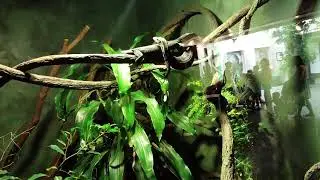 Oregon Zoo