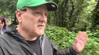 Walk through the forest at Honolua-Mokuleia, Maui Hawaii