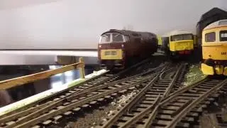 Dapol - 00 Gauge Class 52 Western (Review)