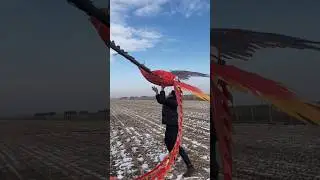 amazing way to giant Bird