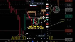 Burjeel Holdings 🚀