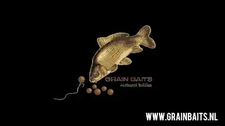 Grain Baits 