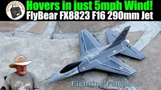 Hovers in just 5mph Wind! | FlyBear FX8823 F16 3CH Gyro 290mm Jet RTF