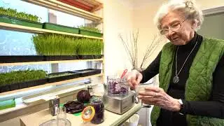 Sauerkraut for Digestive Health