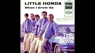 THE BEACH BOYS   