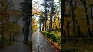 Парк Алматы Осень #shorts #казахстан #airlife #reels #top #views #travel #nature #алматы #almaty
