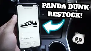 LIVE COP: Nike Dunk Low &ldquo;Panda&rdquo; RESTOCK!