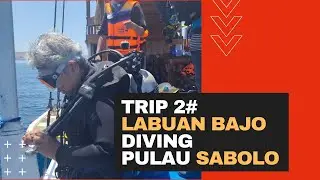 Snorkeling dan Diving di Labuan Bajo - Trip 2 | Emmy Hafild Vlog