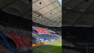 FORZA HAMBURG CHOREO 🔷🙌 #hsv #fans #hamburg #volksparkstadion #choreo
