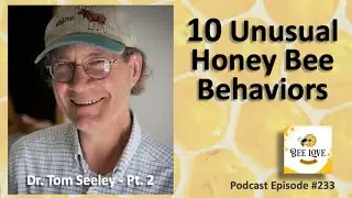 Dr. Thomas Seeley Pt. 2:  10 Unusual Bee Behaviors