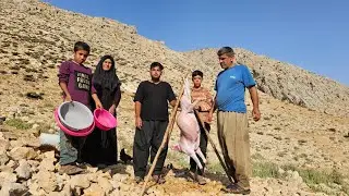 Muharram Special:Sacrifice and Distribution of Offerings among Zagros Nomads|Iranian Nomadic Culture