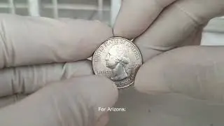 Природа на монете: захватывающая история монеты достоинством в четверть доллара, посвященной Боль...