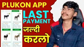 PLUKON EARNING APP| PLUKON APP REAL OR FAKE| PLUKON APP WITHDRAWAL PROBLEM|PLUKON APP PENDING REVIEW