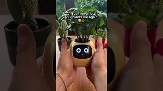 How Digital Plant Health Monitoring Will Change Farming Forever 数字植物健康监测将如何彻底改变农业