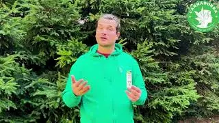 CBD + CBG hemp oil - why use it? 🌿