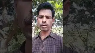 Ammavodi Scheme latest update