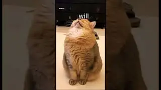 Montag morgen ich hab keine Energy