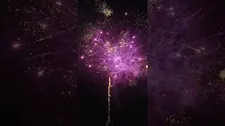 Happy Holiday 🐶🕶️ 100s #fireworks