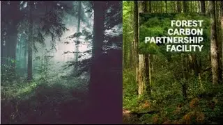 Forest Carbon Partnership Facility | Forest Carbon Partnership Facility UPSC |