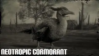 RED DEAD ONLINE - THE NEOTROPIC CORMORANT