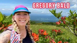 Hike to Gregory Bald to see Flame Azaleas (Great Smoky Mountains)
