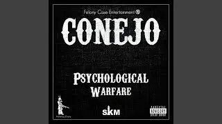 Psycho Realm