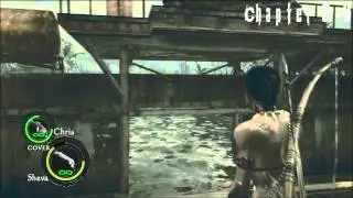 Resident Evil 5 - All 30 BSAA Emblems