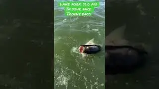 Lake Fork Slo mo -trophy bass in your face