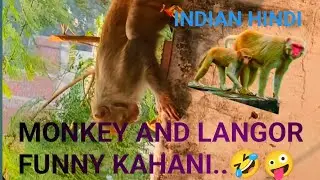 MONKEY AND LANGOR FUNNY Video..#funny #comedy #monkey #language #ramesh #ytshorts #long #vlog #india