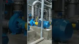 Sulzer analogue pump for pulp and paper mill