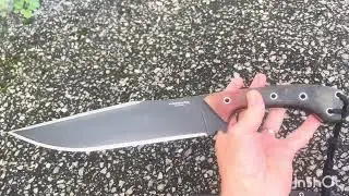 Condor Atrox