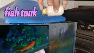 Fish Tank Cleaning & Care Vlog | Galti Se Badi Problem Ho Gayi 😥