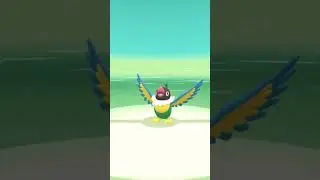 Pok&eacute;mon brilliant diamond, troca de Buizel por Chatot.