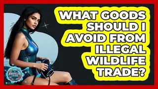 What Goods Should I Avoid From Illegal Wildlife Trade?