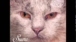 Ramiro Lopez - Spirit (Original Mix) [Suara]