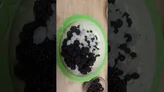 my breakfast мой завтрак