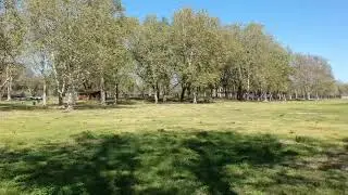 Discovery Park, Sacramento, Ca