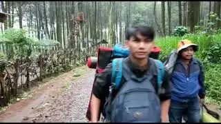 Camping ke Precet Forest Park , wisata camping minim budged