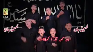 Daste Nasir Abad  Noha | Baad e Kaaba Qibla e Ma Karbala Ast