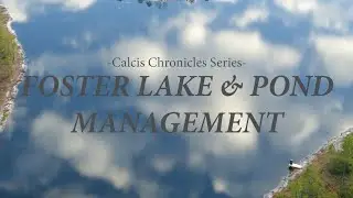 The Calcis Chronicles - Foster Lake & Pond Management