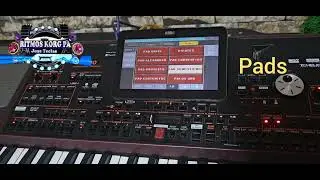 5 cellos entregados para korg pa