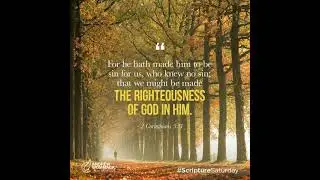 Righteousness Series --- Lesson 2 : The Purpose of the Law  --- Andrew Wommack