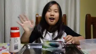 Peachy Abigail's Channel Episode 001 - Science Experiment Salt on Ice
