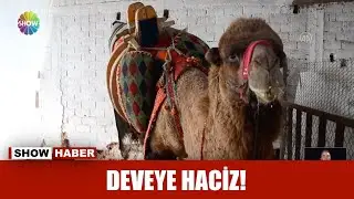 Deveye haciz!
