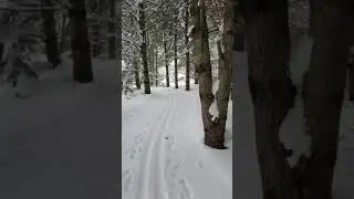 #skiing#chessell#shorts