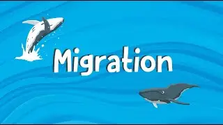 Migration | Dana's Music Playground