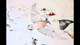 State of the Birds report 2014