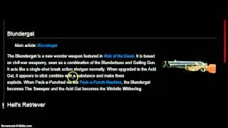 Top WunderGuns In COD Zombies